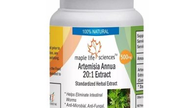 Artemisia-Annua