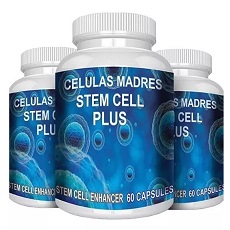 Celulas-Madres-steam-enhancer